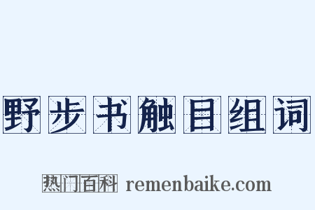野步书触目组词是什么意思的图片
